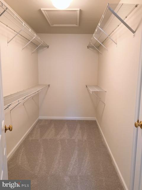 Building Photo - 5454 Joseph Johnston Ln