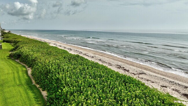 Building Photo - 7420 S Ocean Dr