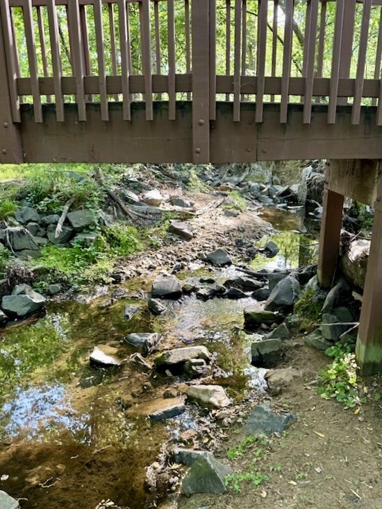 Building Photo - Extensively Renovated 4-Bedroom Home in Prime Location! Unbelievable custom kitchen.