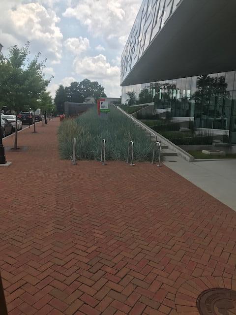 Building Photo - 339 Clover Ln