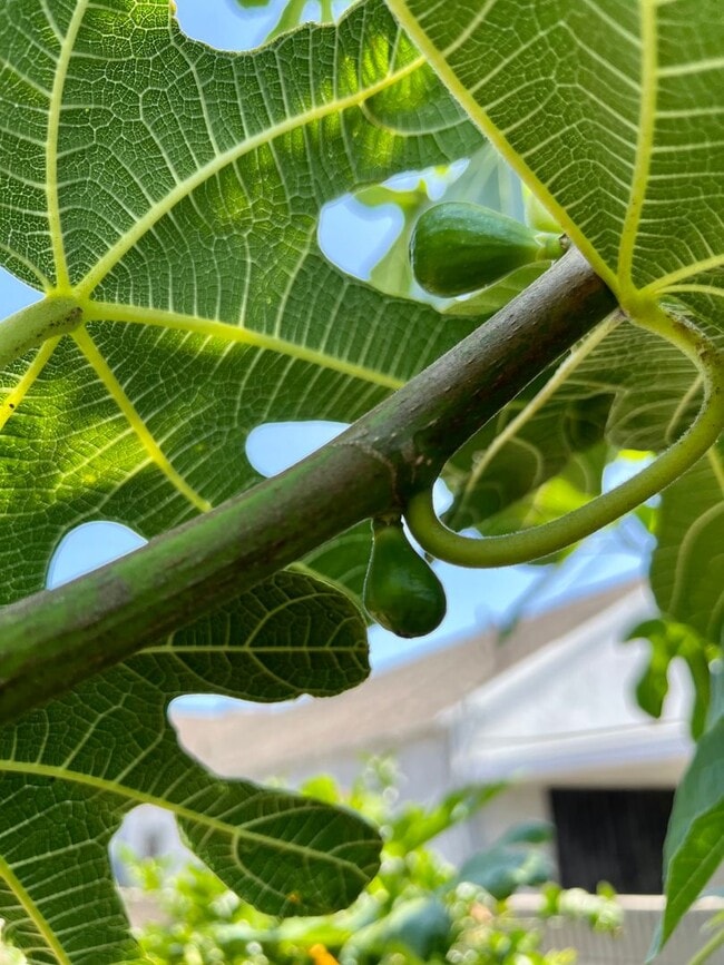 Building Photo - 4 BED HOUSE with Garage, Yard, Pets Consid...