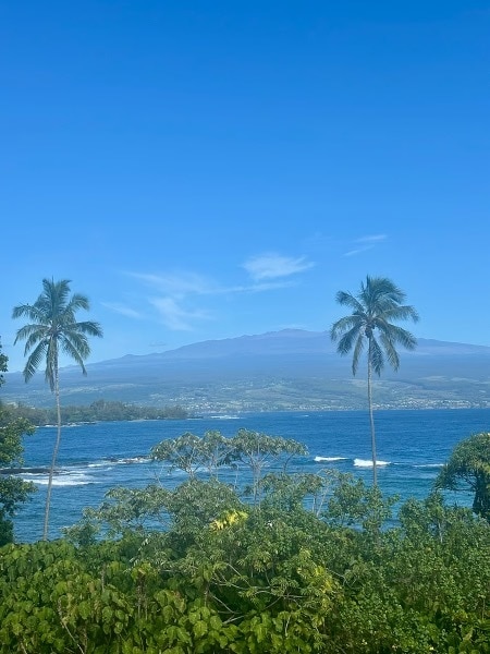 Building Photo - 2405 Kalanianaole St