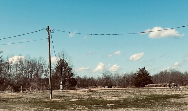 Building Photo - McNary