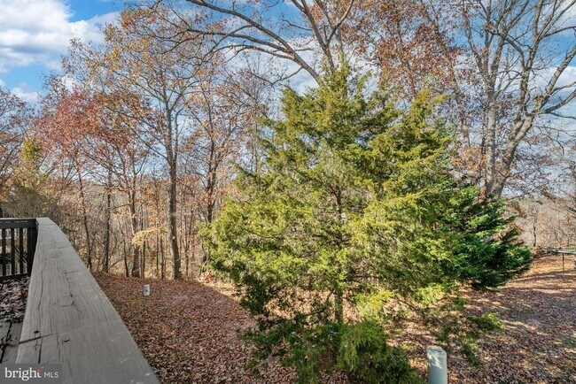 Building Photo - 20681 Waterfall Branch Terrace