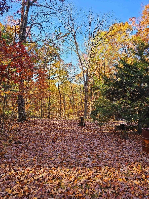 Building Photo - 619 Possum Hollow Trail