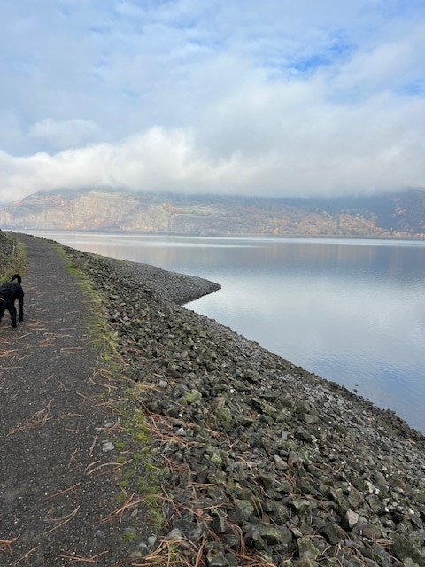 Building Photo - 26 Mosier Creek Pl