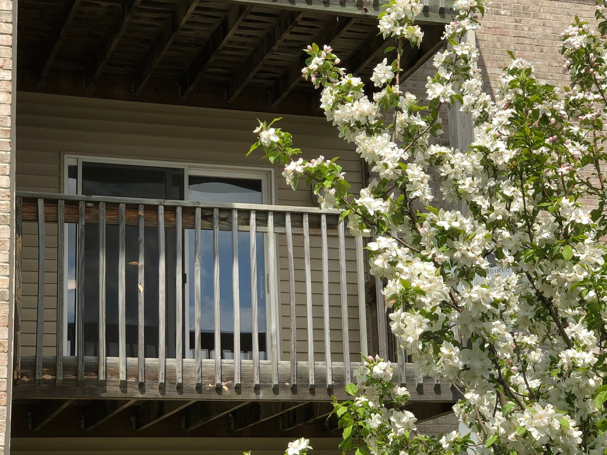 Building Photo - 10151 Sutton Dr