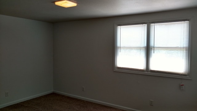 Building Photo - Apartment next to Bill Snyder Family Stadi...