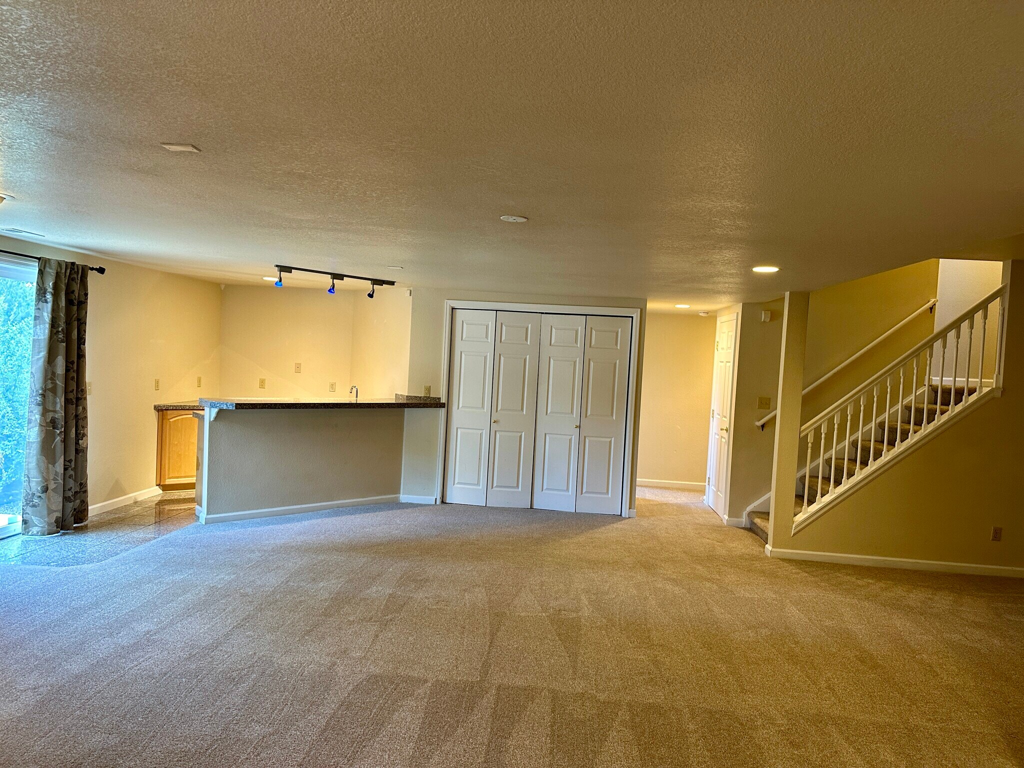 Basement and kitchenette - 9402 Oakbrush Way