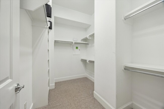 Building Photo - 823 Paige St