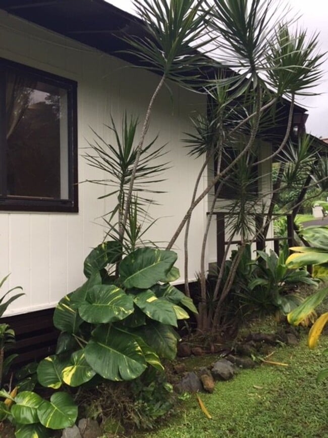 Building Photo - 3 BED 1 BATH BIG YARD  WITH CARPORT KANEOHE