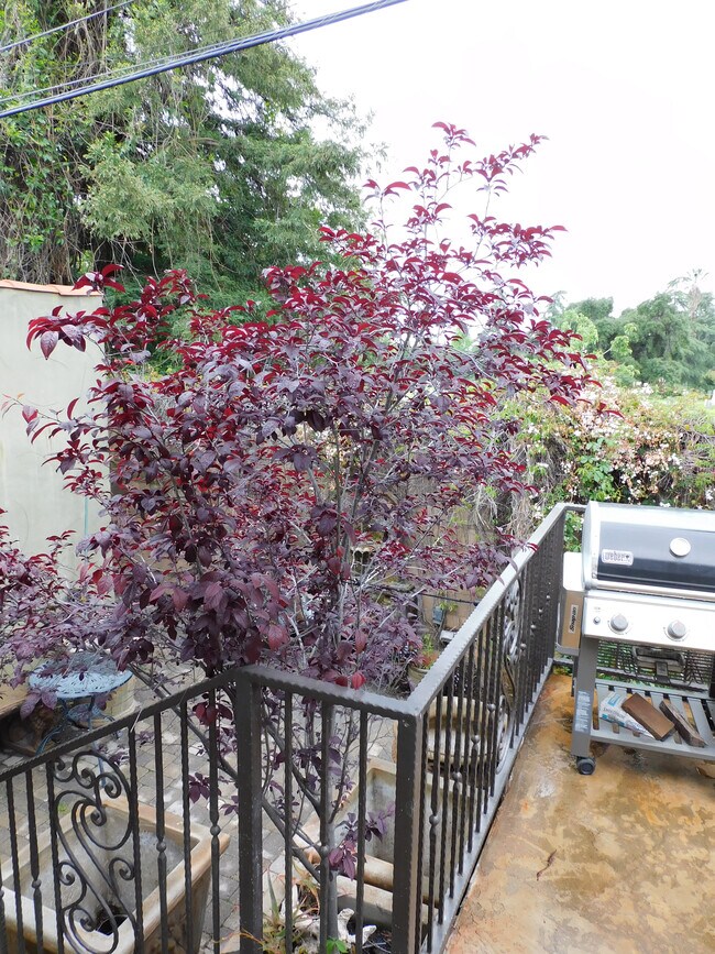 Building Photo - 56 La Venezia Ct