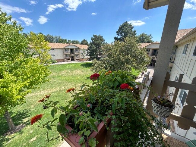 Building Photo - 1024 E Swallow Rd