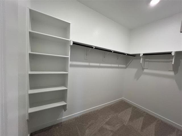 Building Photo - 7032 Camphor Ct