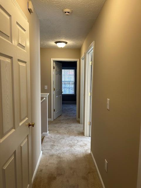 Building Photo - 3096 Roundway Down Ln