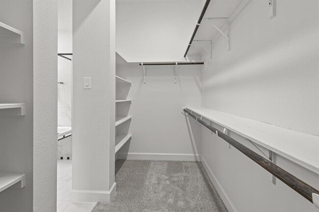 Building Photo - 29626 Cedar Elm Wy