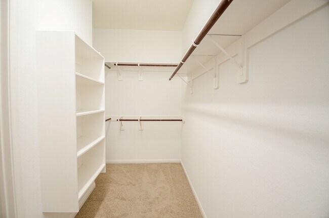 Building Photo - 4815 Addison Forest Trail