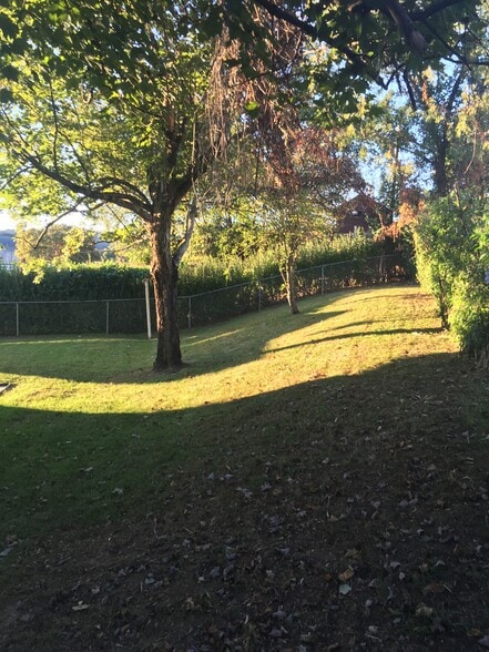 Backyard - 463 Lawnview Cir