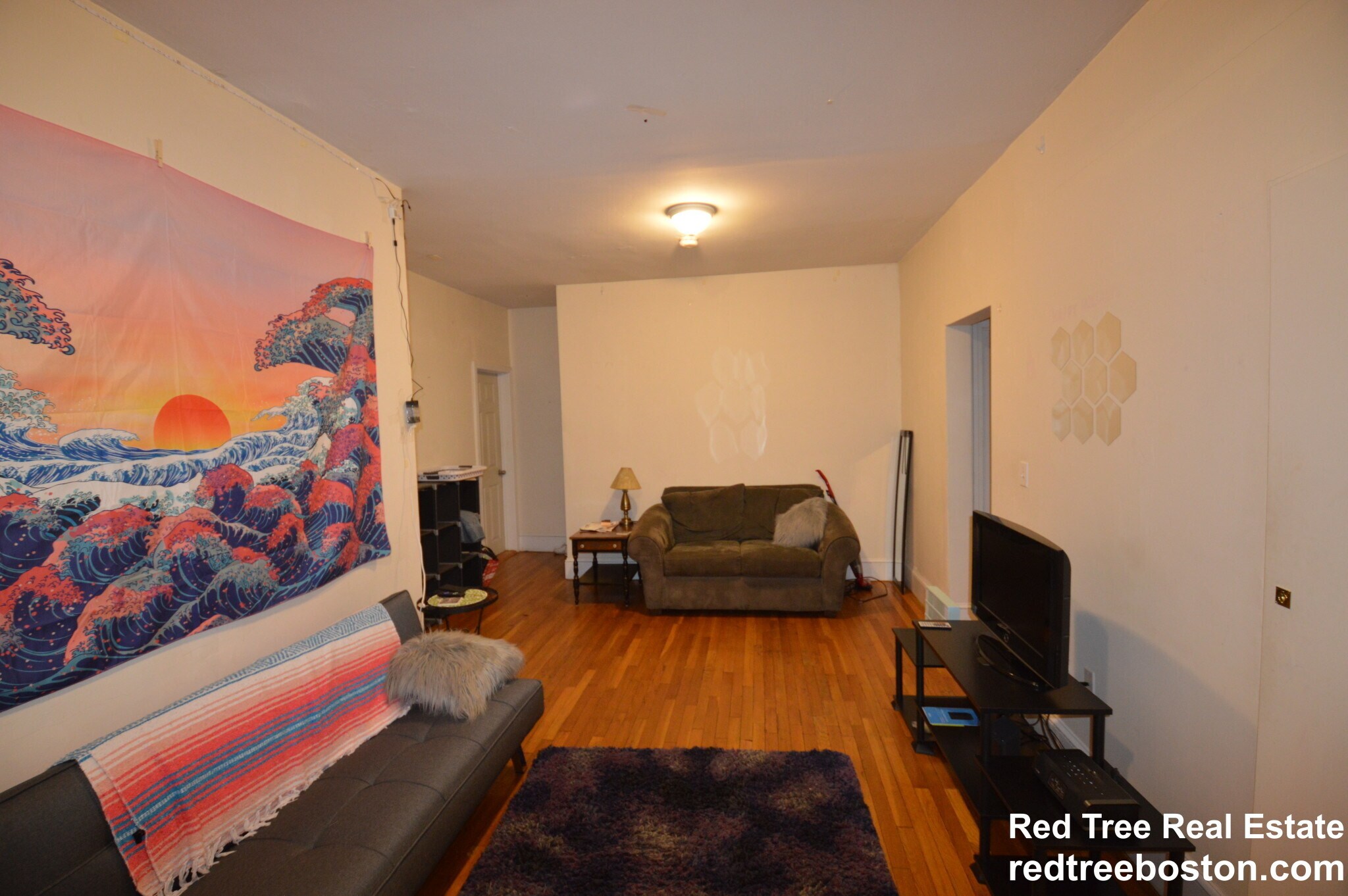 Building Photo - 66 Egmont St