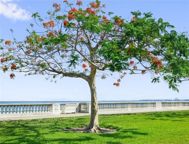 Building Photo - 2109 Bayshore Blvd