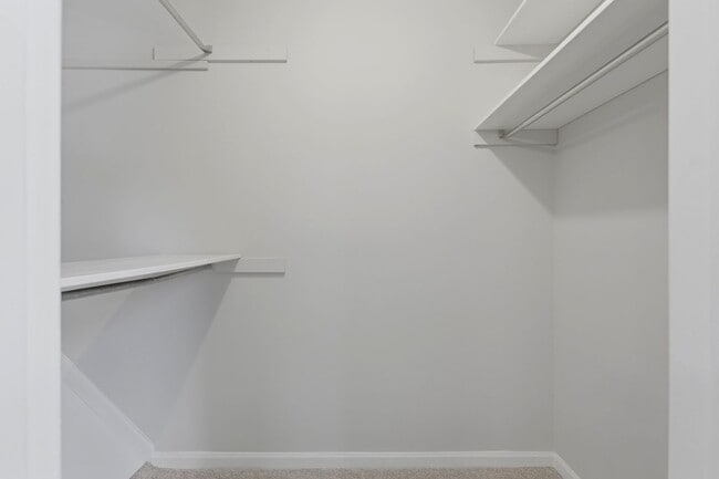 Building Photo - Charming Mount Pleasant Townhouse