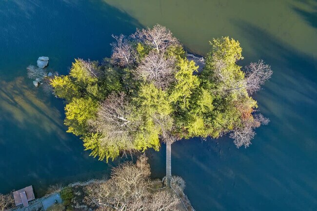 Building Photo - 2046 Lakeside Dr W