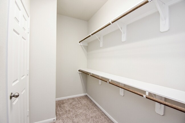 Building Photo - 23602 Acerola Tree Ct
