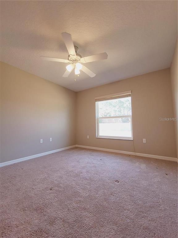 Building Photo - 5 Bowie Pl