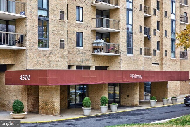 Building Photo - 4500 S Four Mile Run Dr