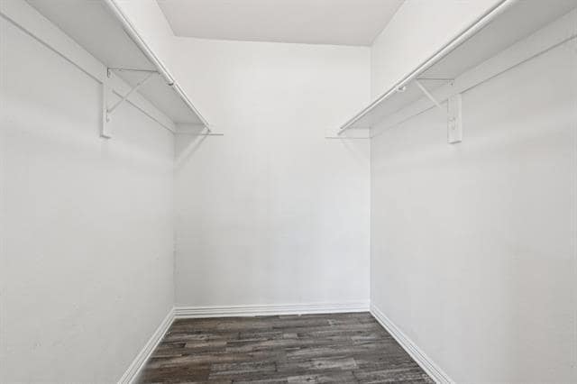 Building Photo - 700 Timber Oaks Ln