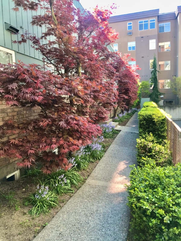 Building Photo - 1215 Queen Anne Ave N