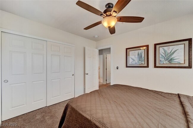 Building Photo - 6646 Colorado Spruce St