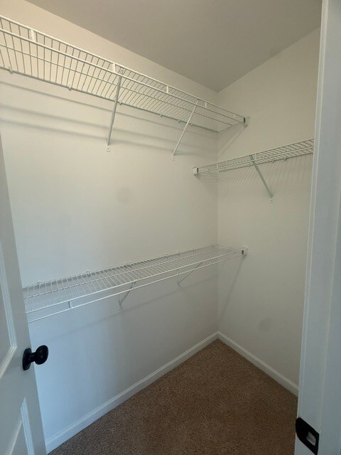 Building Photo - 116 Goldfinch Ave