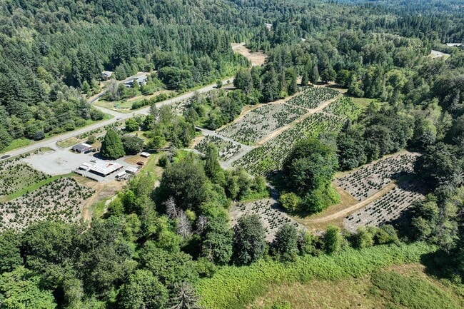 Building Photo - 3bd/1.75ba Issaquah Home
