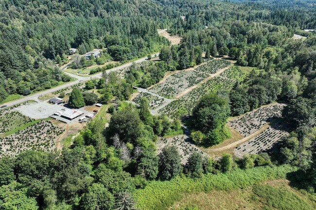 Building Photo - 3bd/2ba Issaquah House