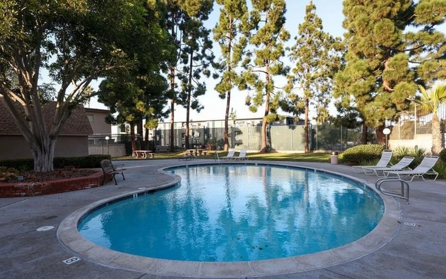 Building Photo - TWO PARKING SPACES INCLUDED! In Unit Washer & Dryer! Large Private Patio for Bikes, Boards and Bb...