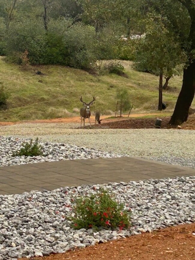 Building Photo - New Bright and Spacious Home with Solar and Breathtaking Views of Mt. Bally, Mt. Copley and Mt. L...