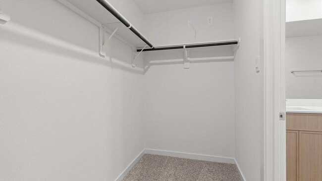 Building Photo - 3562 Lovebird Ln