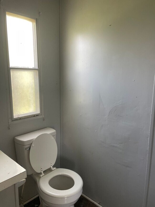 Building Photo - 3 BR 2 Bath 1,280 sq ft singlewide mobile home on 3.09 acres in Lonoke, AR