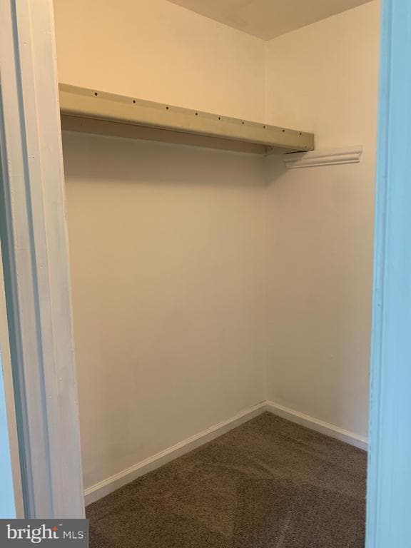 Building Photo - 249 Periwinkle Ave