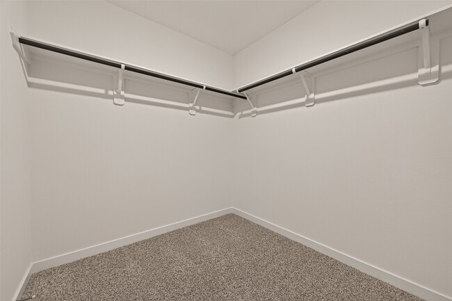 Building Photo - 3527 Lovebird Ln