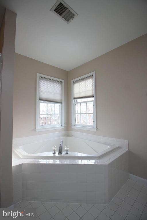 Building Photo - 243 Winter Walk Dr