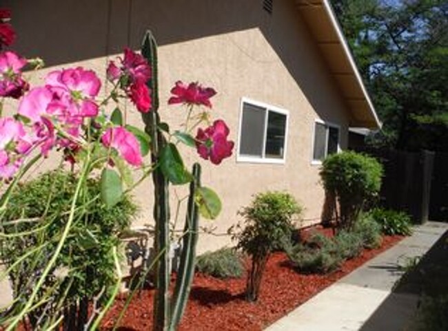 Walkway to entrance - 2122 E 8th St