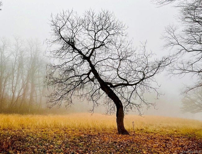 Building Photo - 5 Wood Ct