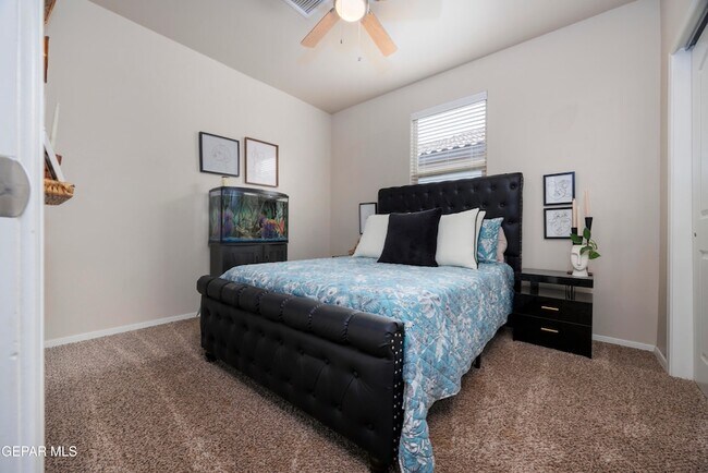 Building Photo - 12436 Knightsbridge Dr