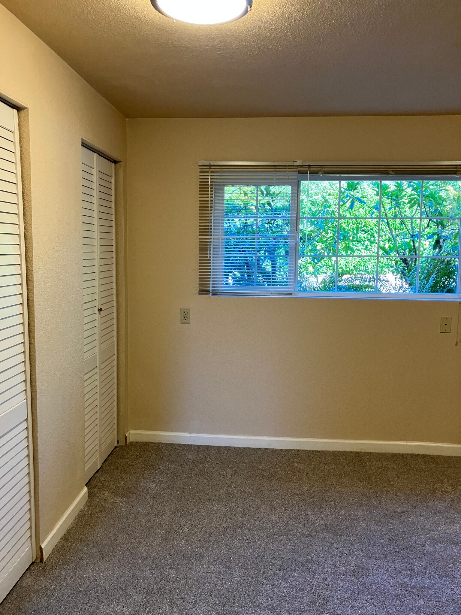 storage closet in Living room - 26027 Woodland Way S