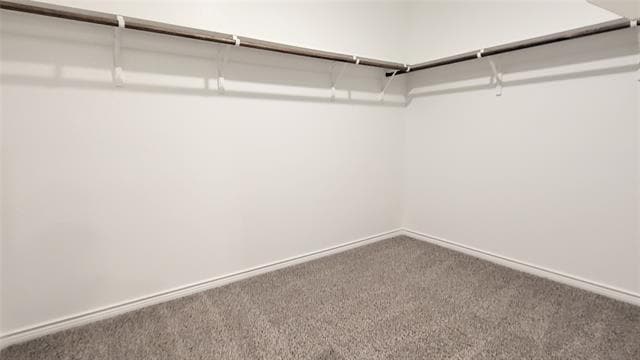 Building Photo - 1614 Silver Landing Trail