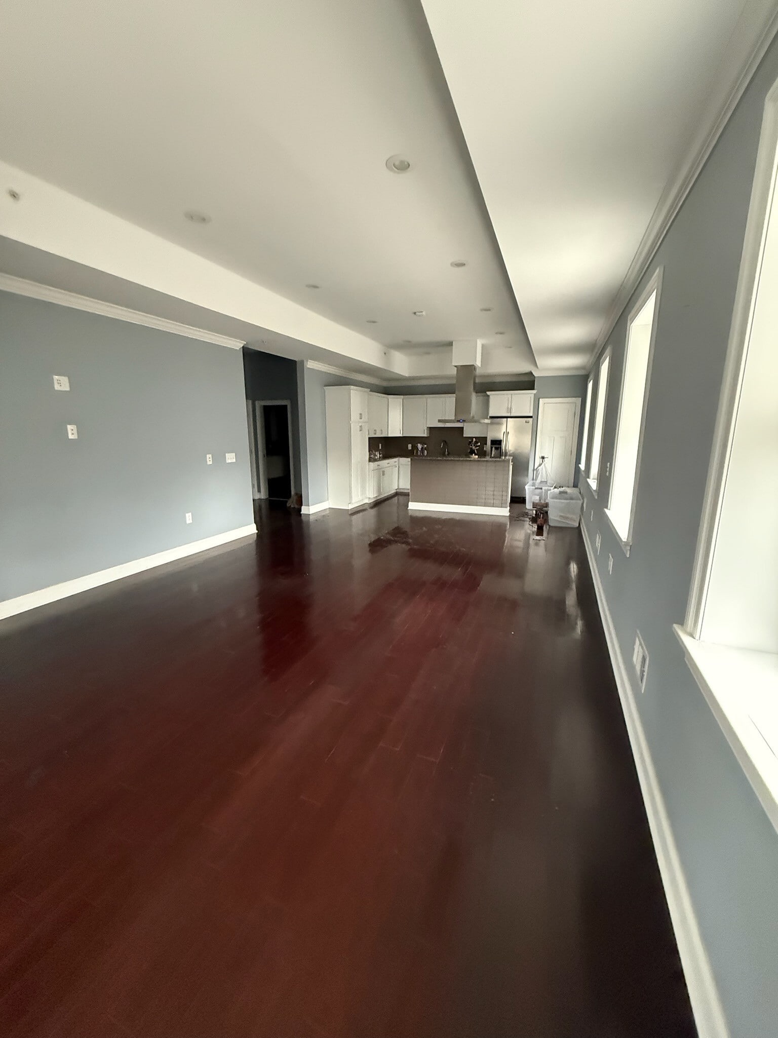 Huge Open Floorplan - 13 Chester St