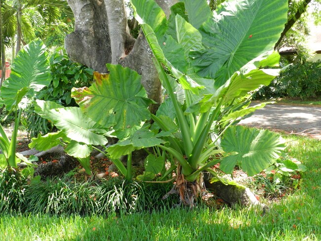 Building Photo - 9501 SW 69th Ct