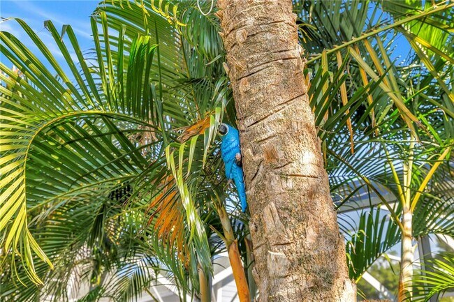 Building Photo - 748 11th Ave N